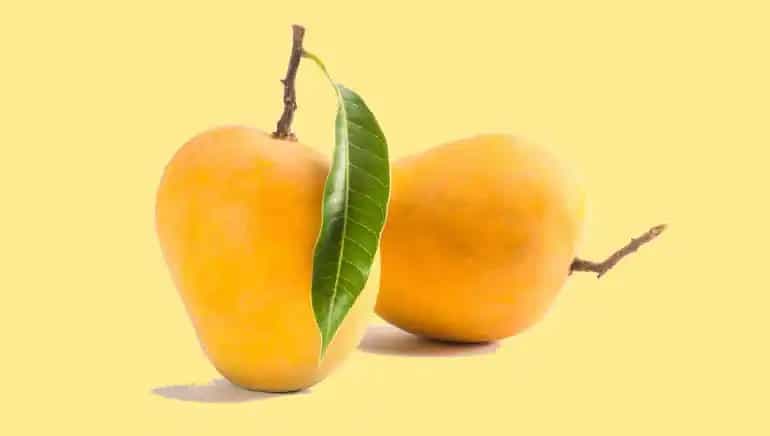 Here are 7 health benefits that mango leaves can have for you