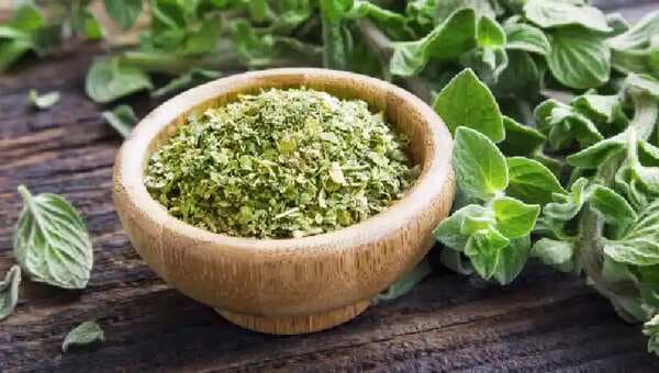 Not just pizza, here are 6 reasons why you need to add oregano to your diet