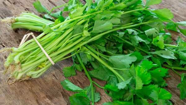 STOP throwing coriander stems and make this lemon coriander soup instead!