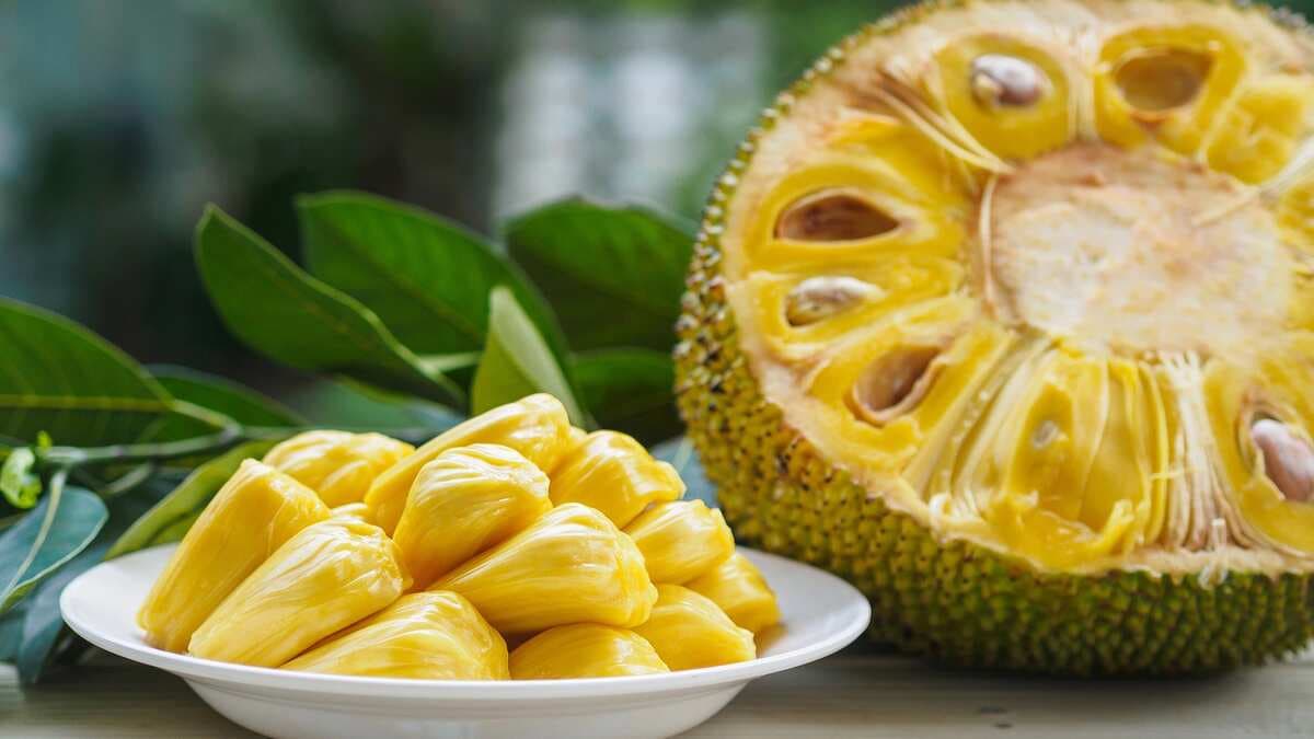 Planning to conceive? Don’t miss out on consuming jackfruit for its fertility benefits