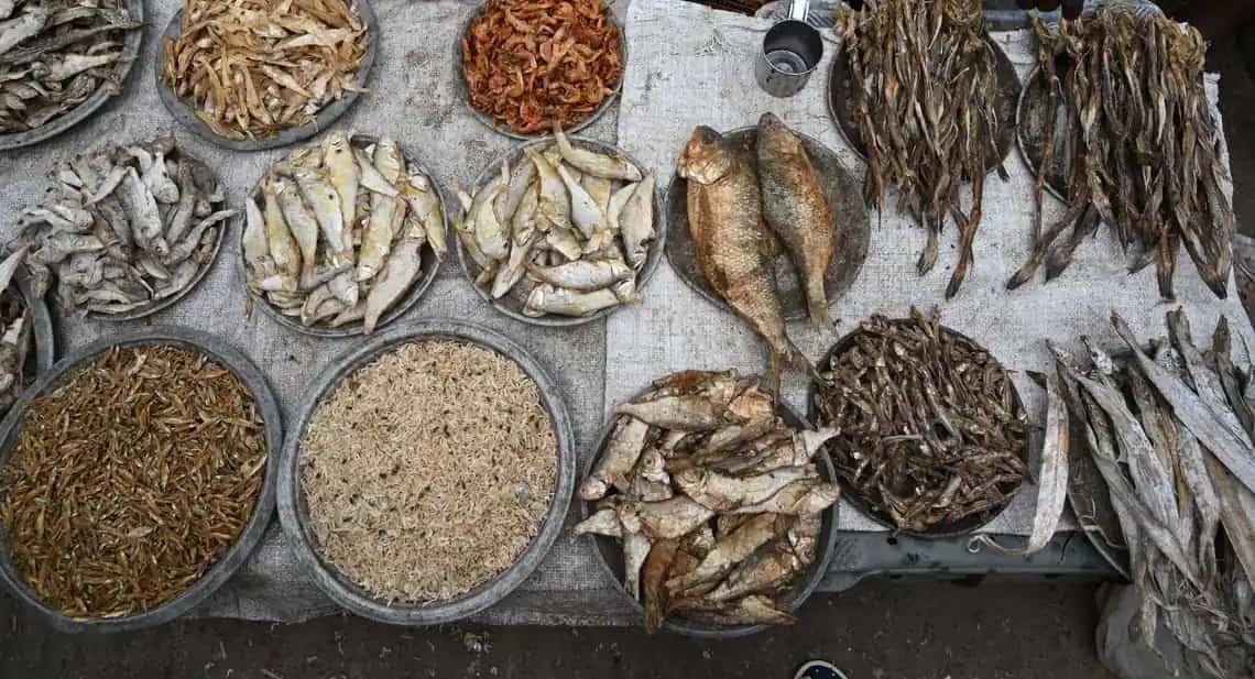 Rampant exports of fish meal hurt food security in Africa