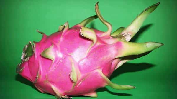 Will changing its name make the dragon fruit taste better?