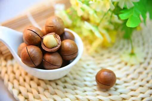 Macadamia Nuts: 5 Healthy Reasons To Consume These Nutritional Tree Nuts  