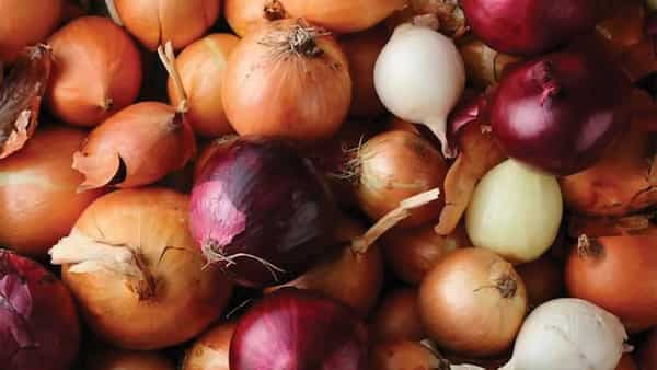 Weight Loss: How Do Onions Help You Lose Weight