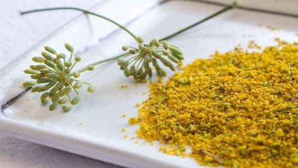 The Rise Of Exotic Fennel Pollen Has Legit Reasons