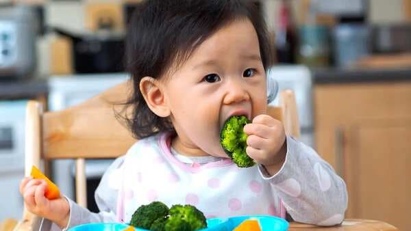  Sorting The Toddler Menu: Try These Quick, No-Fuss Options