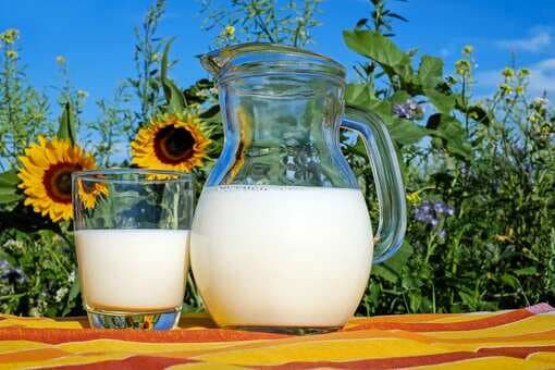 World Milk Day: Try These 5 Amazing Milk Recipes At Home  