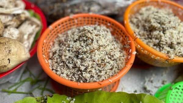 Amroli Poruar Tup: The Fried Red Ant Eggs Of Assam 