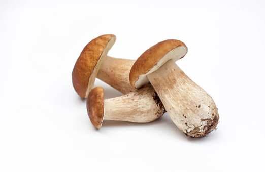 5 Advantages Of Adding Porcini Mushrooms To Your Diet