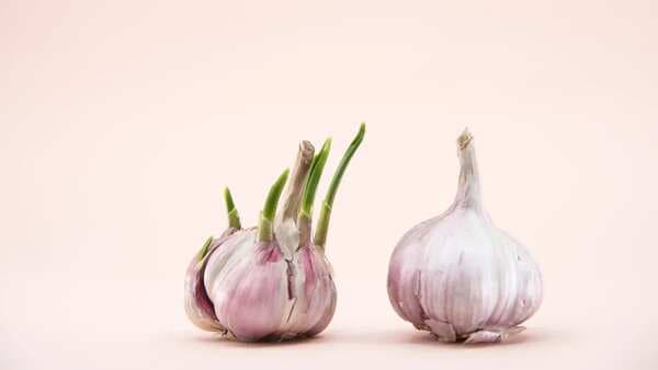 Kitchen Tips: 4 Smart Ways To Keep Garlic From Sprouting
