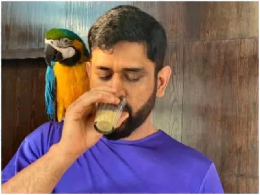 This Desi Drink Is MS Dhoni’s Guilty Pleasure