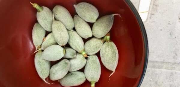 How To Use Green Almonds In More Ways Than One
