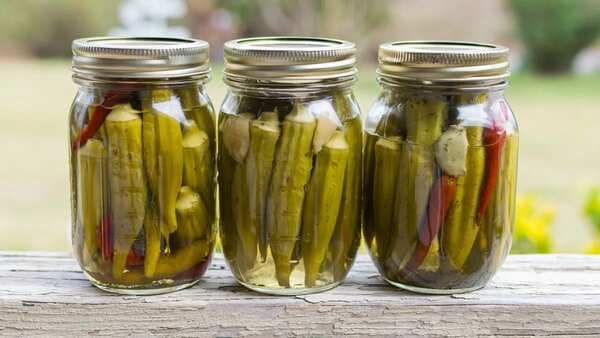 Pickled Okra: A Fresh New Way To Eat More Bhindi