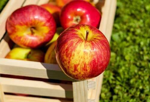 5 Reasons Why We Absolutely Adore Apples
