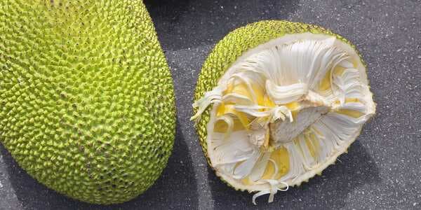 4 Easy Tips To Buy, Cut And Store Jackfruit