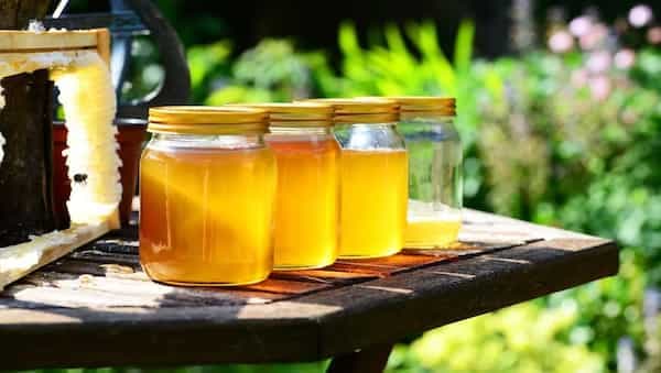 5 Benefits Of Honey To Include It In Your Diet