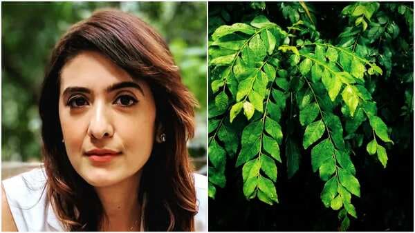 Thought Curry Leaves Are Only To Enhance Your Curries, Nutritionist Pooja Makhija Calls It A 'Superfood' 