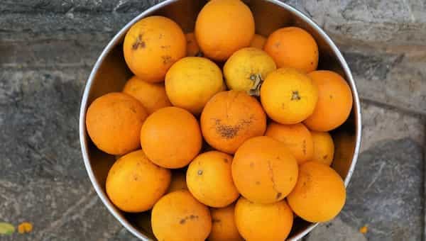 Orange For Immunity: 3 Ways To Include The Fruit Your Diet