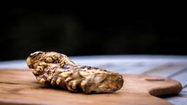 5 Incredible Health Benefits Of Horseradish Root You Should Know Of