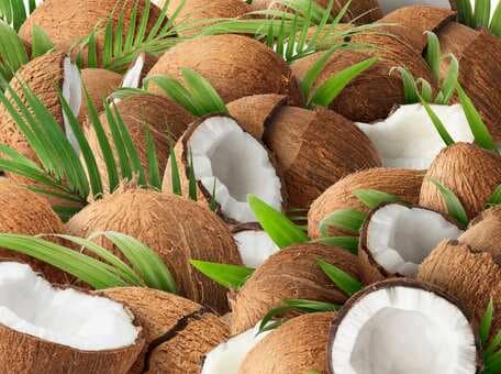 Know The Many Facets Of Our Humble Coconut 
