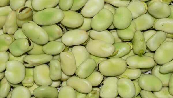 Bean There: 5 Health Benefits of Fava Beans You Didn’t Know 