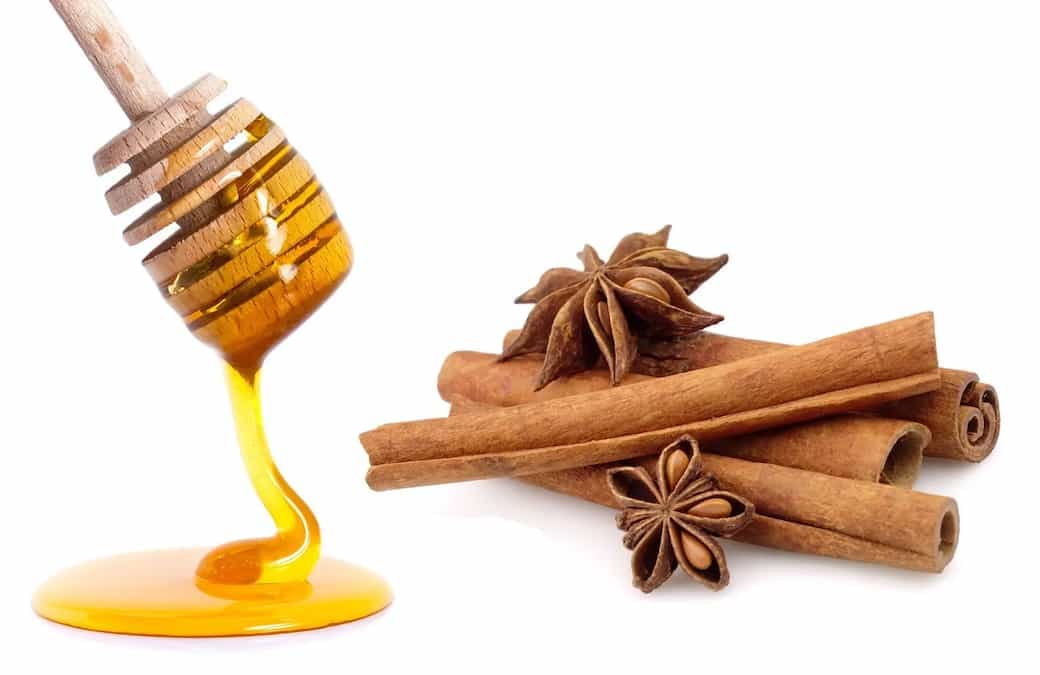 Cinnamon And Honey: How Is It Beneficial For Your Health?