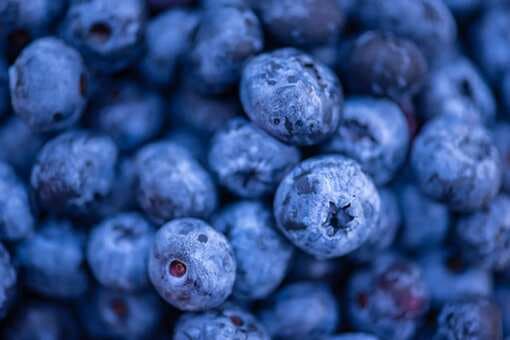 5 Incredible Health Benefits Of Bilberry