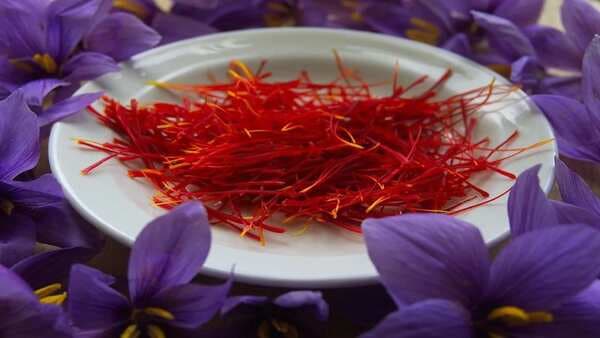 Tracing The Origin of Saffron, World’s Most Expensive Spice