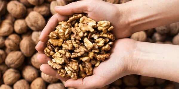 Health Check: 2 Delectable Walnut Snack Recipes To Whip Up At Home