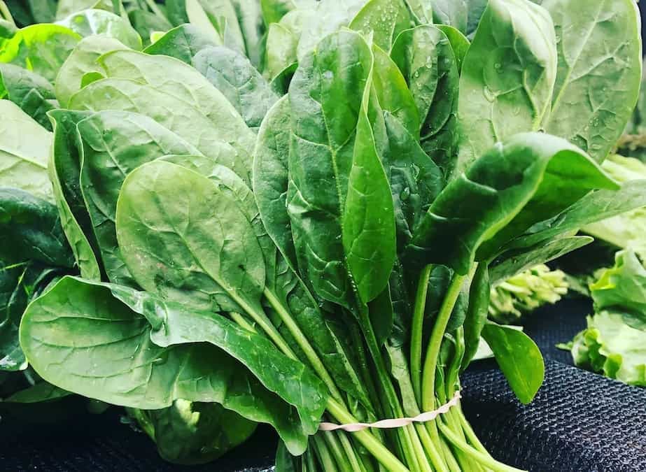 This Simple Hack To Make Spinach Last Longer Is A Life Saver! 