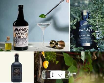 These Indian Gin Brands Are A Must For Your Bar