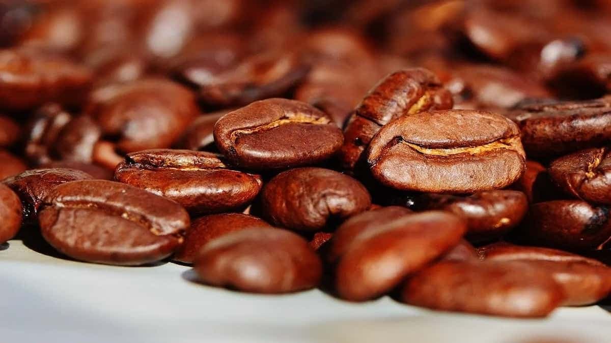 From Arabica To Robusta: Here Are 4 Types Of Coffee Beans You Didn't Know About