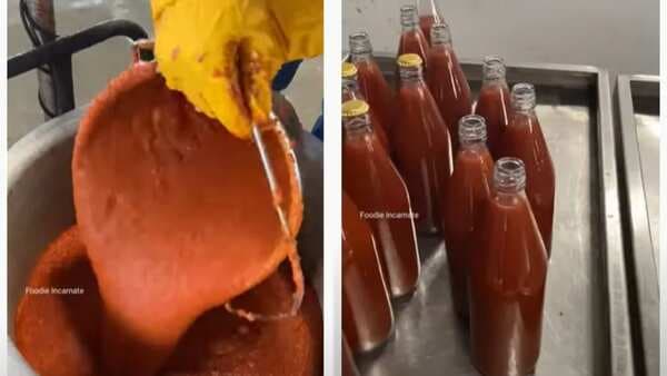 Viral: Ever Wondered How Tomato Ketchup Is Made By Food Brands? This Video Reveals