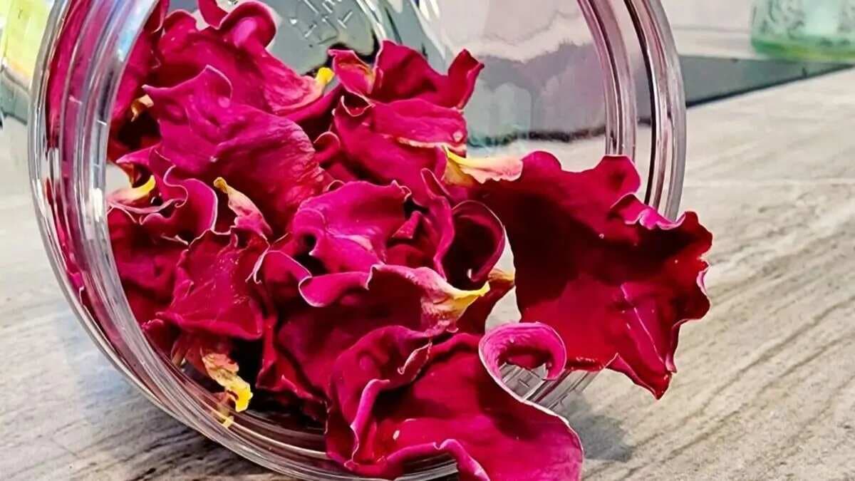 Cooking With Rose Petals And Their Benefits