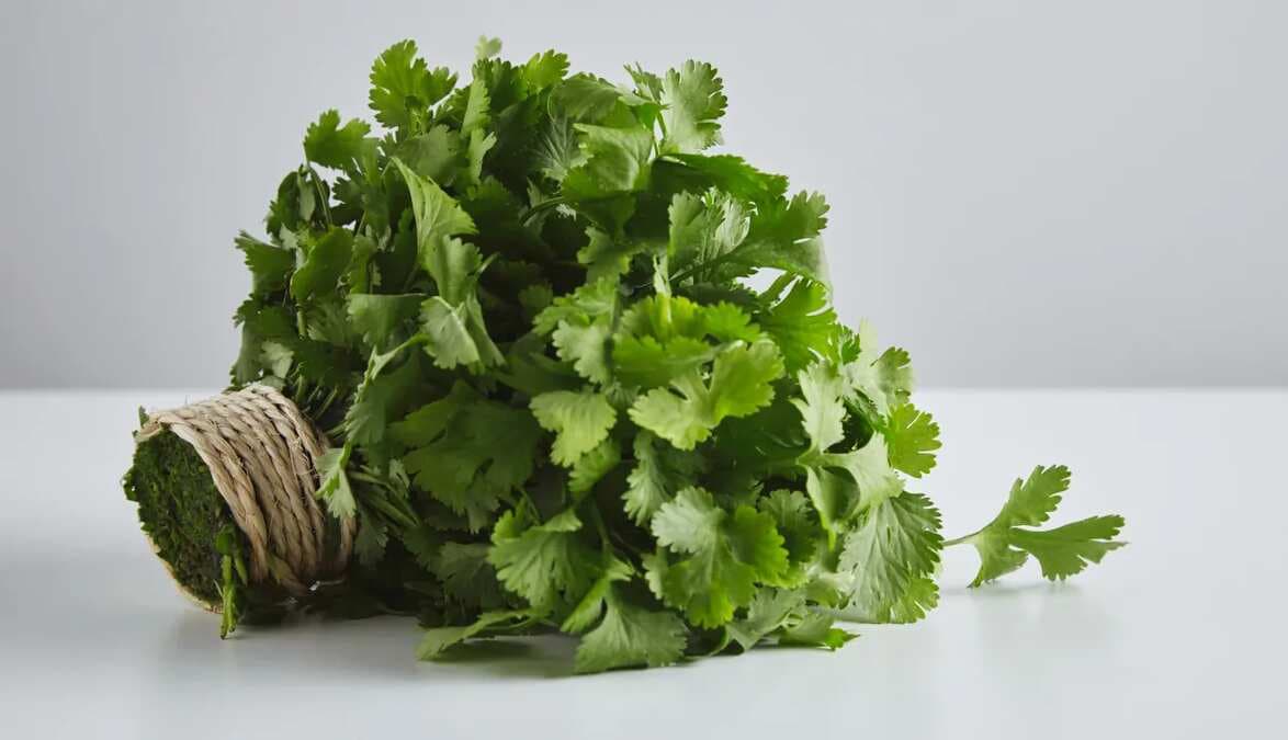 Genius Hack To Remove Coriander Leaves From Stem Goes Viral
