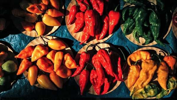Call Yourself A Spice Lover? Know These 5 Varieties Of Indian Chillies