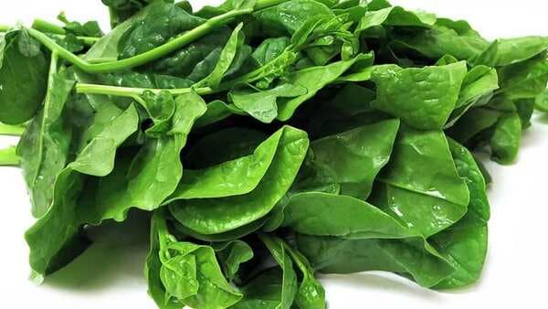 Myriad Health Perks Of Malabar Spinach