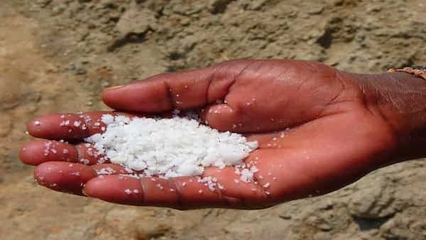 As An Ingredient To A Preserver: A Brief History Of Salt