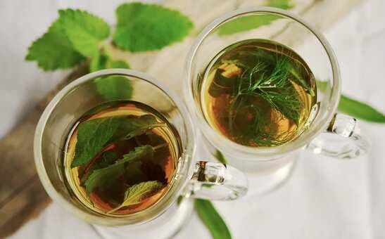 From Green to Oolong Tea: Here Are Some Of The Tea Varieties That You Can Try