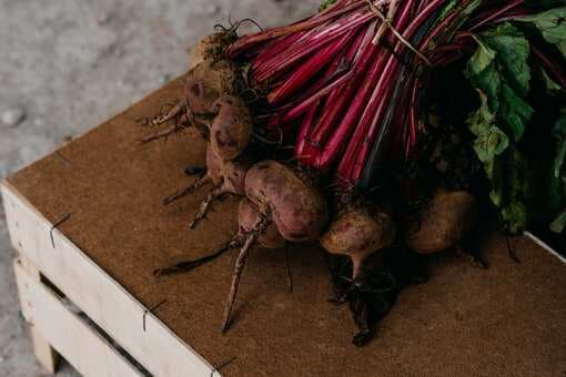 Make Beets Your New Favourite Food By Adding Them To Your Diet