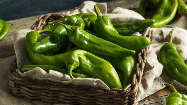 The Fiery Trail Of Green Chillies And Indian Dishes To Try 