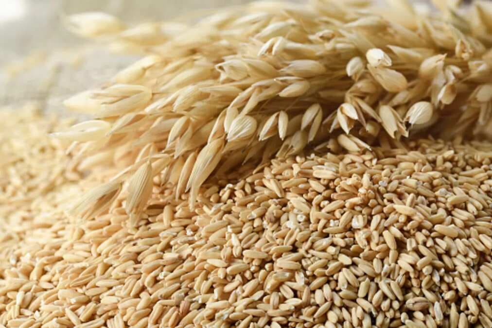 From Steel-Cut To Instant: Different Types Of Oats You Must Know About