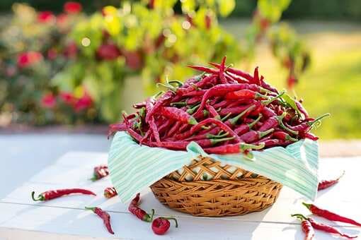 5 Indian Chillies With GI-Tag That Are Worth Trying