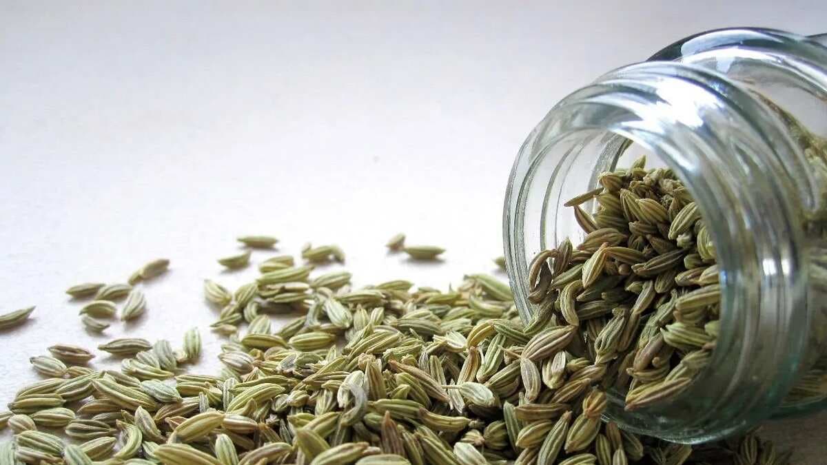 Fennel Tea Recipe: Here Are 9 Miraculous Properties Of Saunf