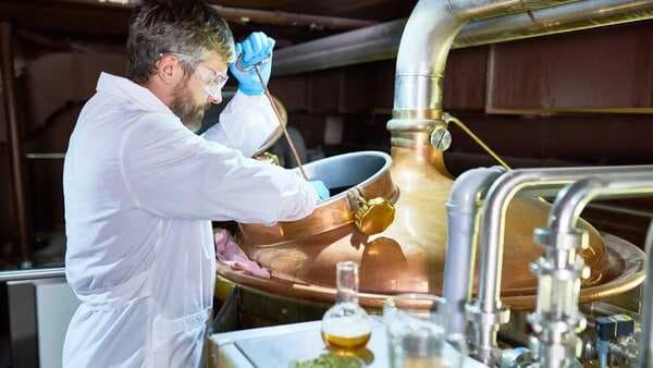 How Beer Is Made: Understanding The Brewing Process