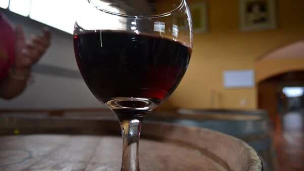 Why Nashik is Called The 'Wine Capital of India'?