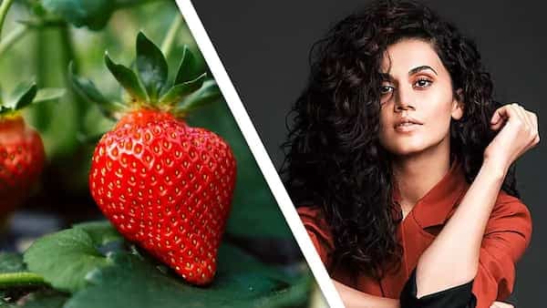  Taapsee Pannu Is Eating This Pink Fruit In Between Her Meals  