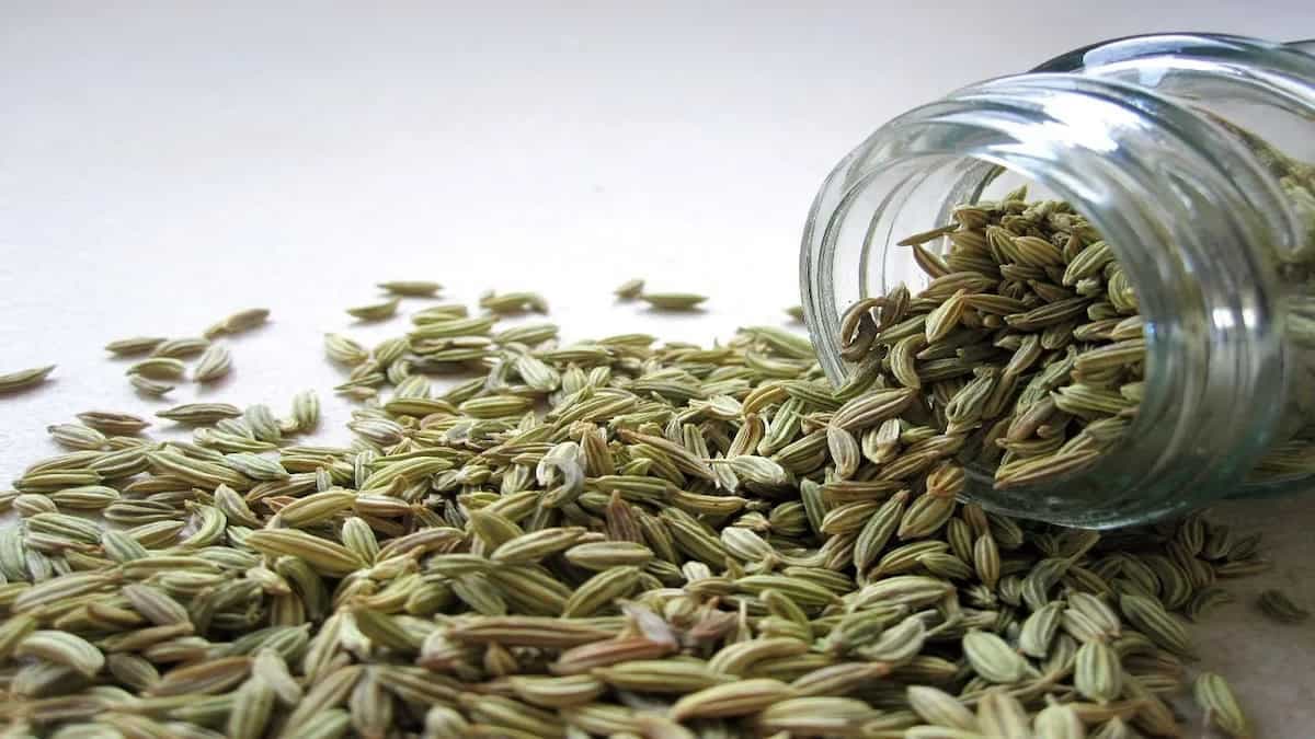 Home Remedies That Work: How To Make Fennel Tea To Combat Cold And Cough
