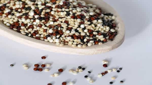 2022-23 Is ‘International Year Of Millets’: 3 Dishes You Can Make With The Cereal Grains