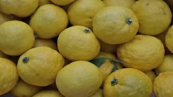 Yuzu: This Japanese Lemon Has A Lot Of benefits And History
